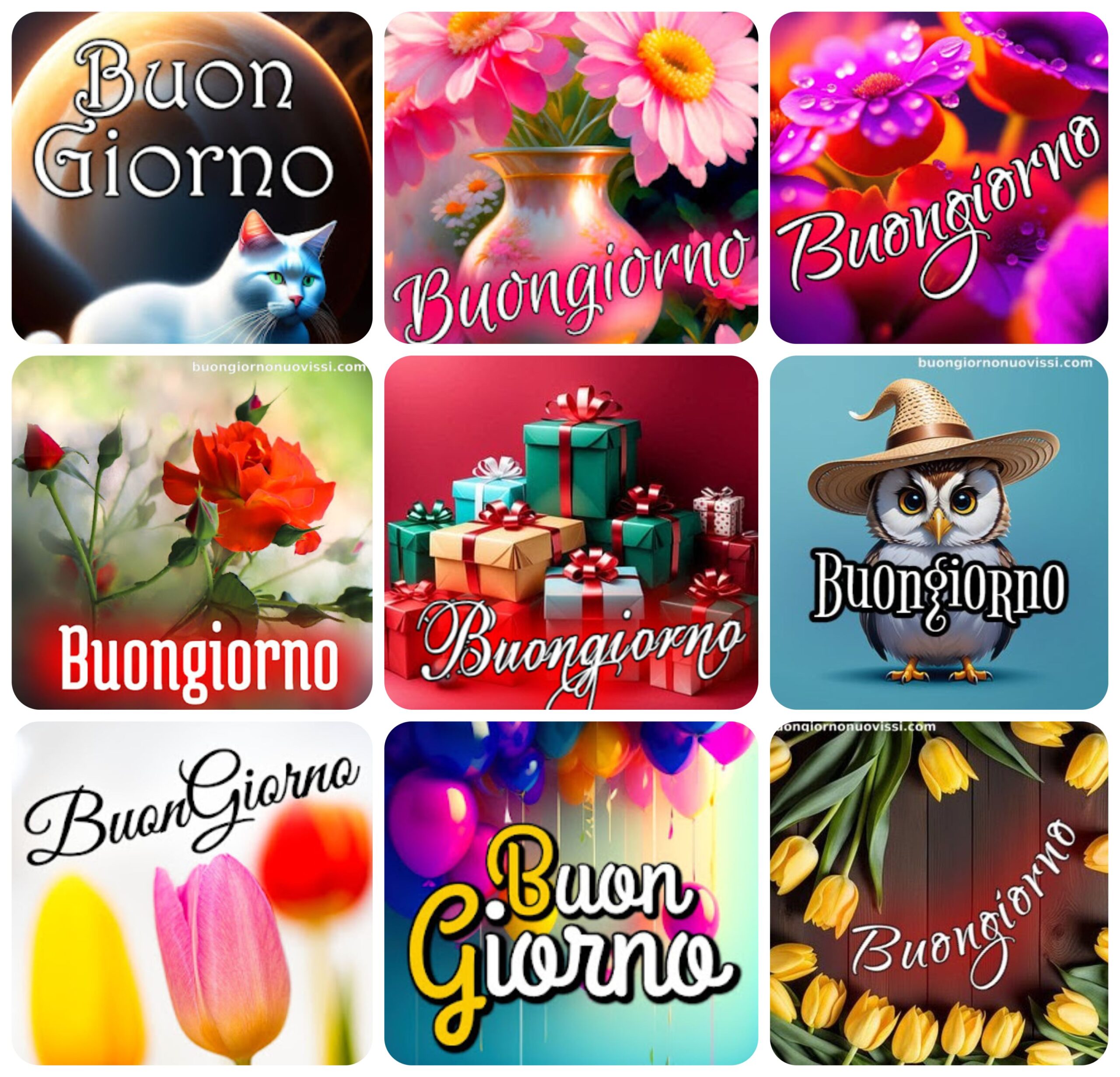 Buongiorno Nuovissimi 2 scaled Buon Venerdì Immagini Nuove Bellissime Gratis