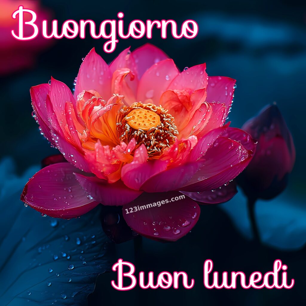 Buongiorno e Buon Lunedì Immagini