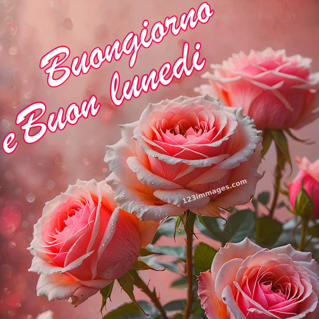 Buongiorno e Buon Lunedi Immagini 15 Buongiorno e Buon Lunedì Immagini