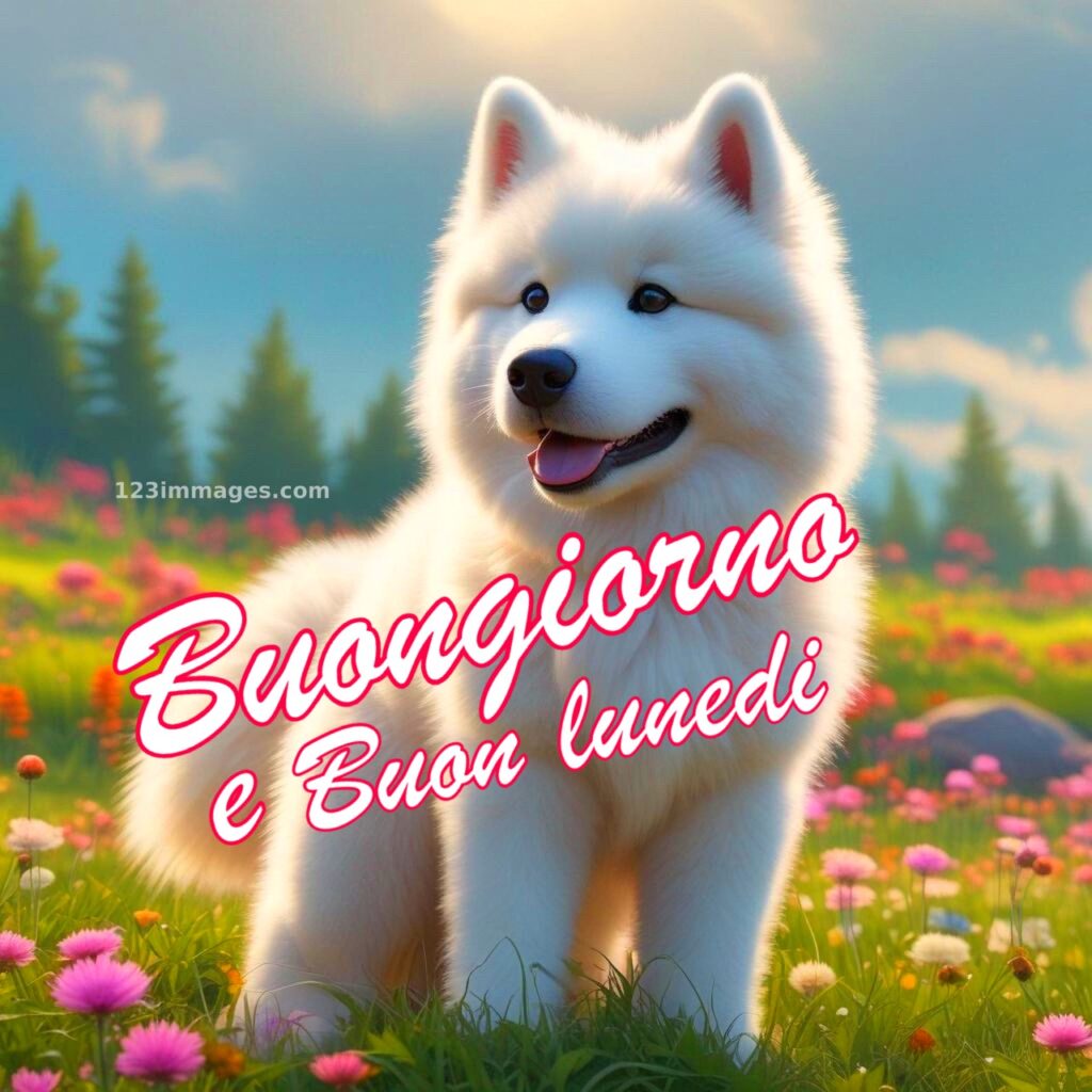 Buongiorno e Buon Lunedi Immagini 5 Buongiorno e Buon Lunedì Immagini