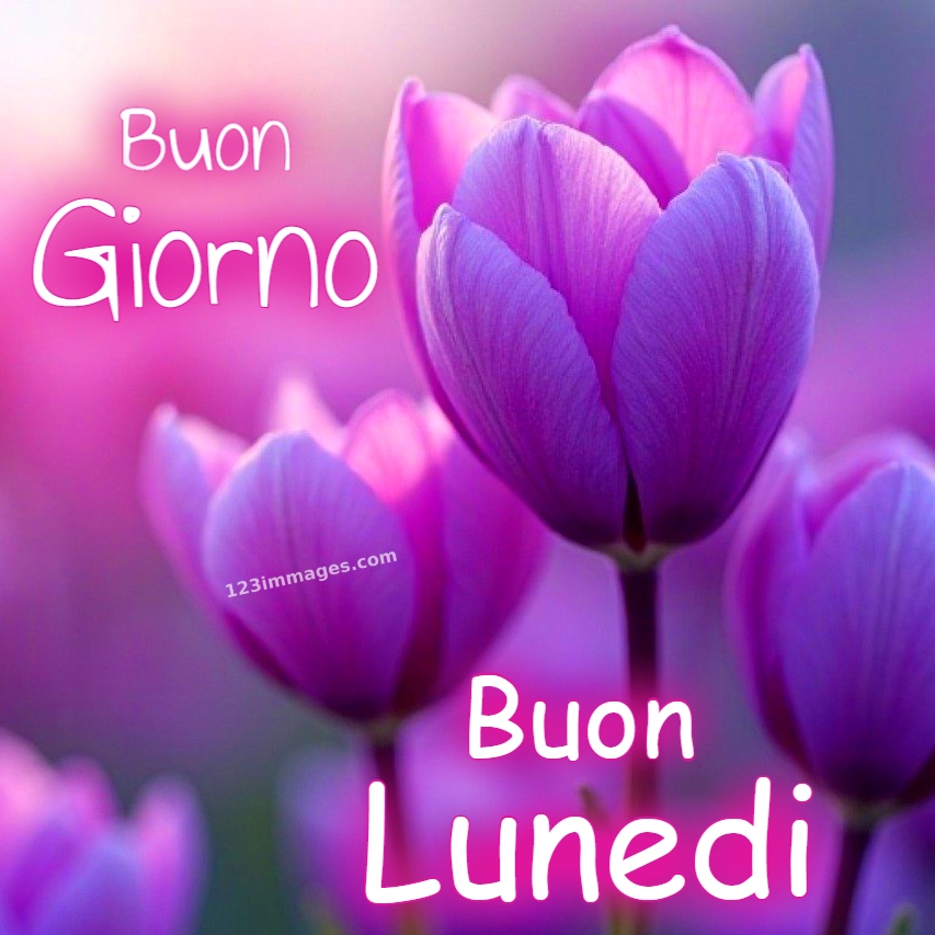 Buongiorno e Buon Lunedi Immagini 6 Buongiorno e Buon Lunedì Immagini