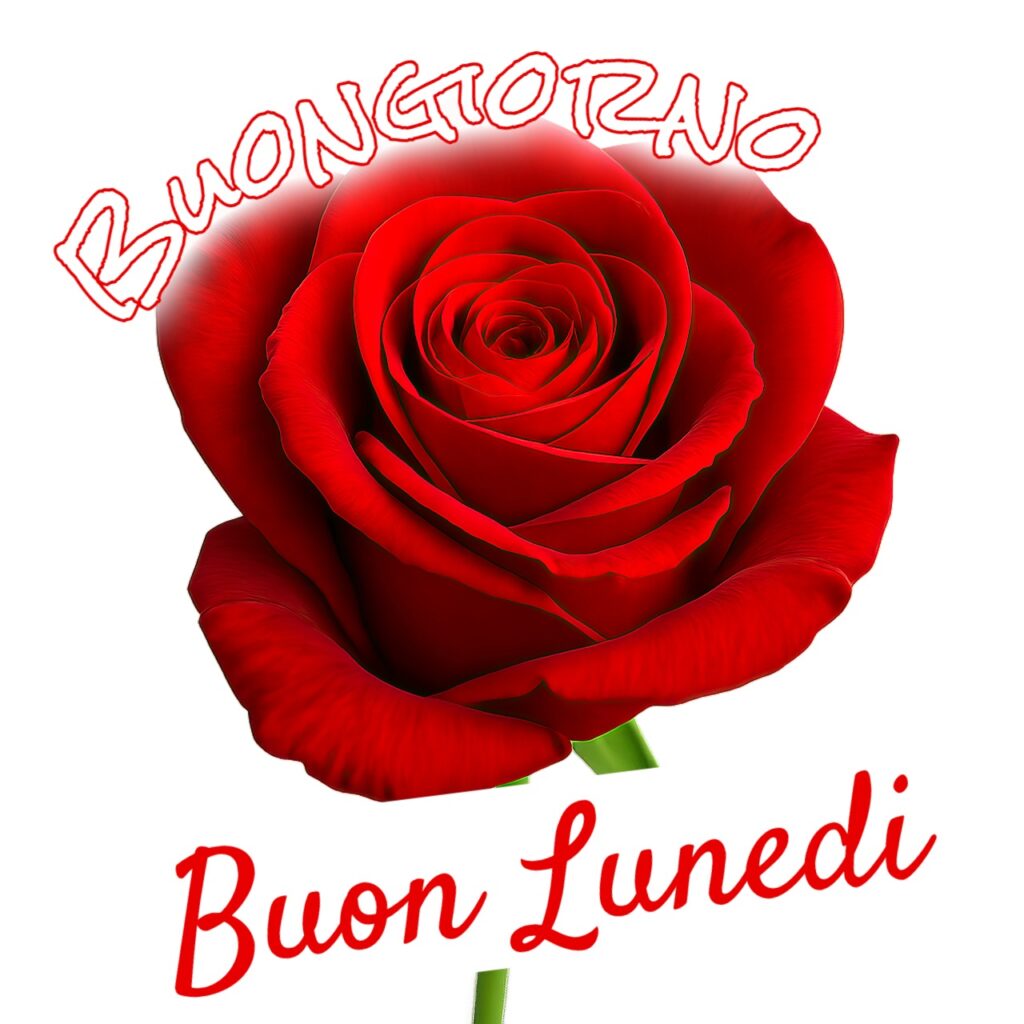 Buongiorno e Buon Lunedi Immagini 8 Buongiorno e Buon Lunedì Immagini