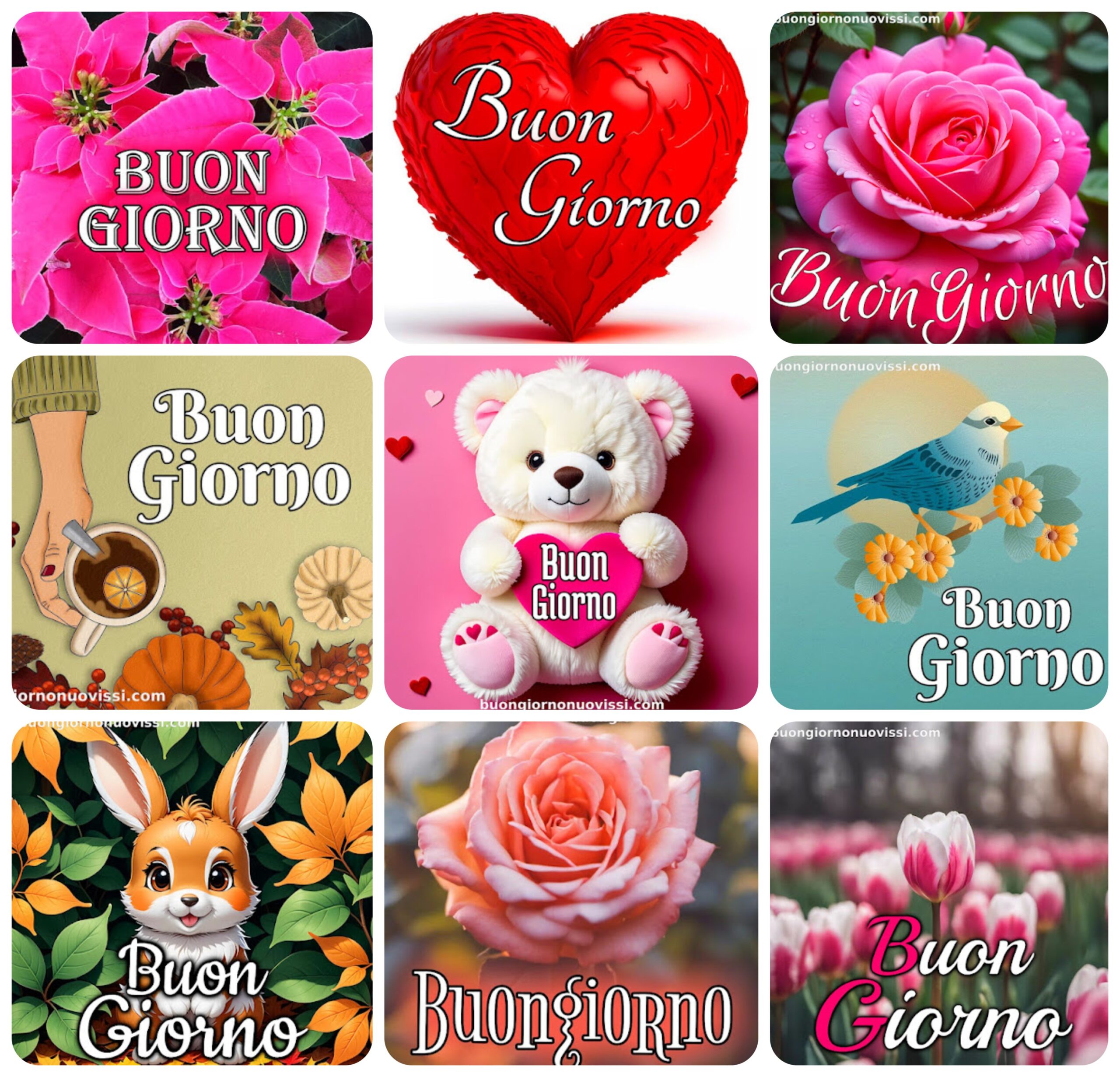 Le Ali Del Sorriso Buongiorno Immagini Nuove Gratis Whatsapp 1 Le Ali Del Sorriso Buongiorno Immagini Nuove Gratis Whatsapp scaled Le Ali Del Sorriso Buongiorno Immagini Nuove Gratis Whatsapp