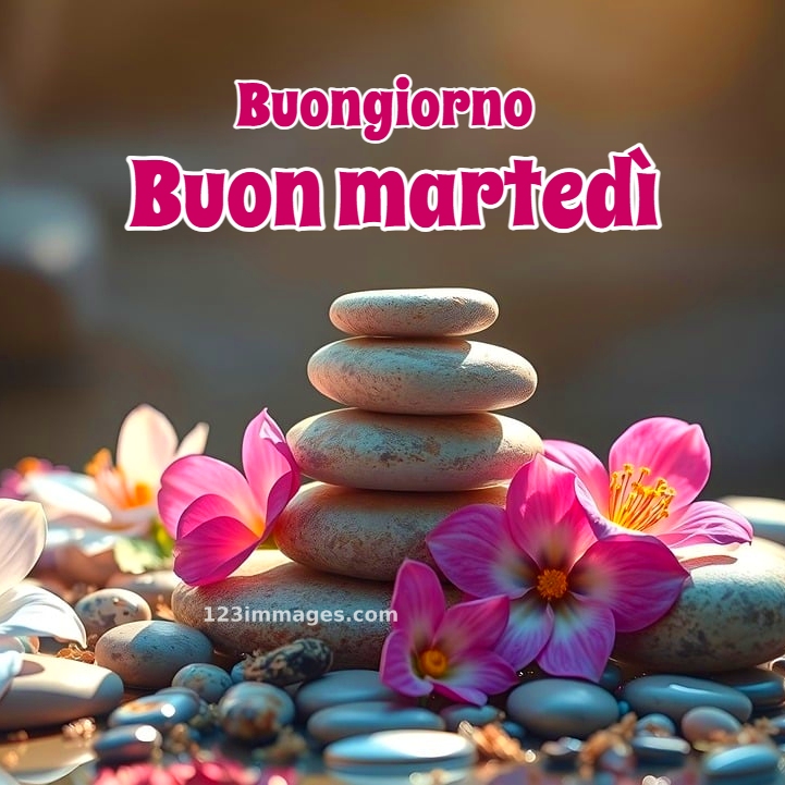 Buon Martedì Immagini Nuove 1 Buon Martedi Immagini Nuove 8 Buon Martedì Immagini Nuove