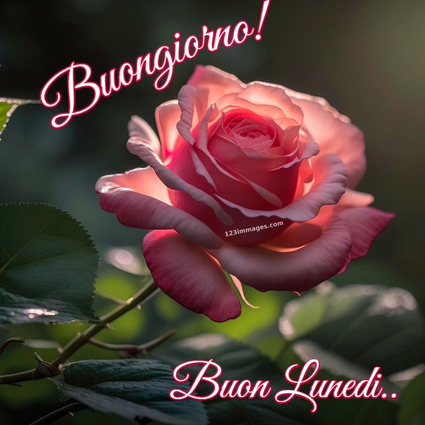 Buongiorno e Buon Lunedì nuove gratis 12 Immagini Di Buongiorno e Buon Lunedi 19 Buongiorno e Buon Lunedì nuove gratis