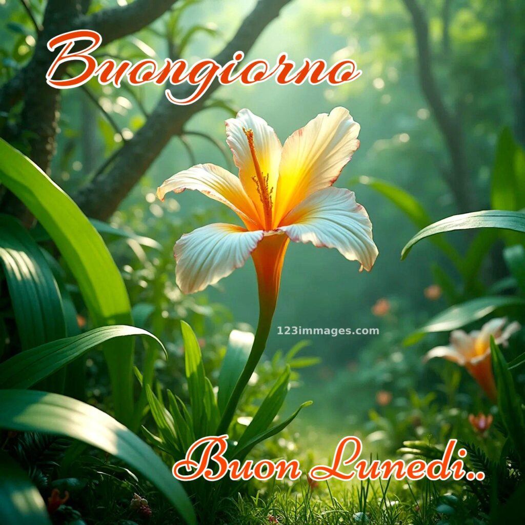 Buongiorno e Buon Lunedì nuove gratis 26 Immagini Di Buongiorno e Buon Lunedi 5 Buongiorno e Buon Lunedì nuove gratis