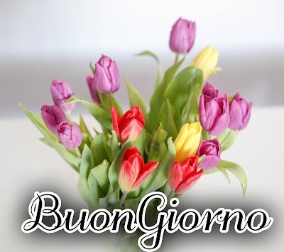 Pinterest Nuovissimo Pinterest Buongiorno immagini Recenti 1 pietra bianca nuovissimo buonanotte immagini recenti2054 Pinterest Nuovissimo Pinterest Buongiorno immagini Recenti