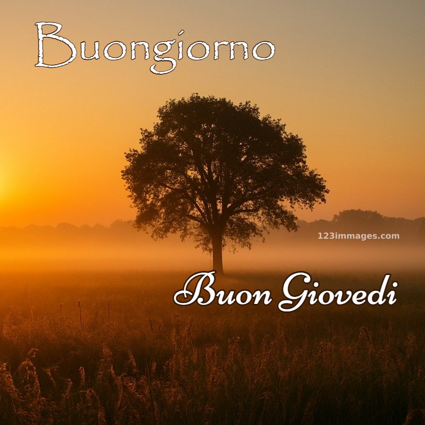 Immagini Di Buon Giovedi 1 Immagini Di Buon Giovedì