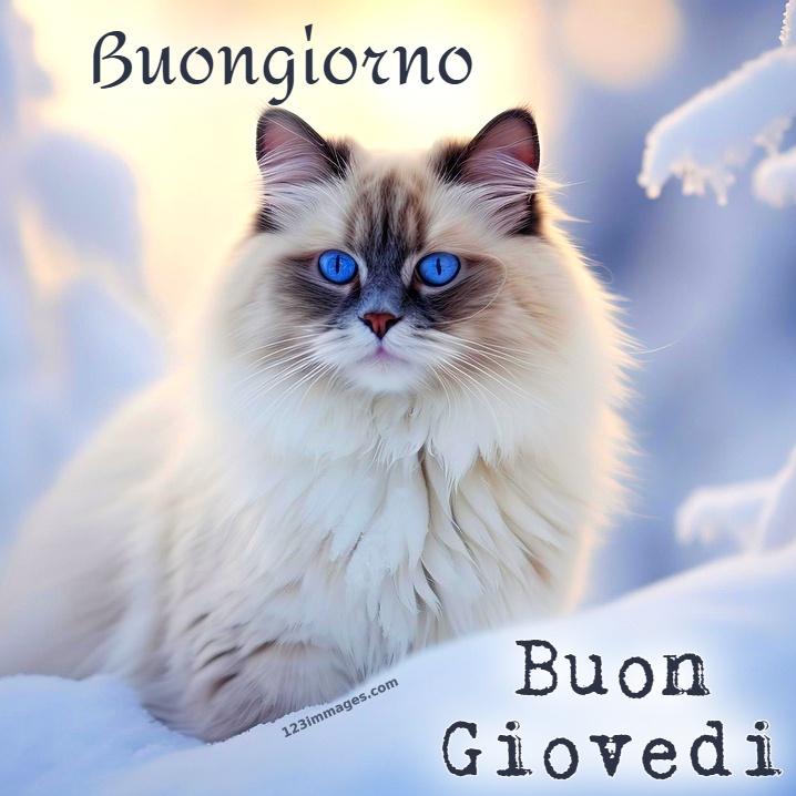 Immagini Di Buon Giovedi 13 Immagini Di Buon Giovedì