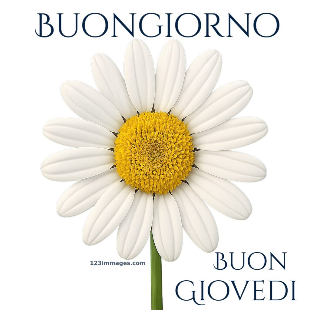 Immagini Di Buon Giovedi 26 Immagini Di Buon Giovedì