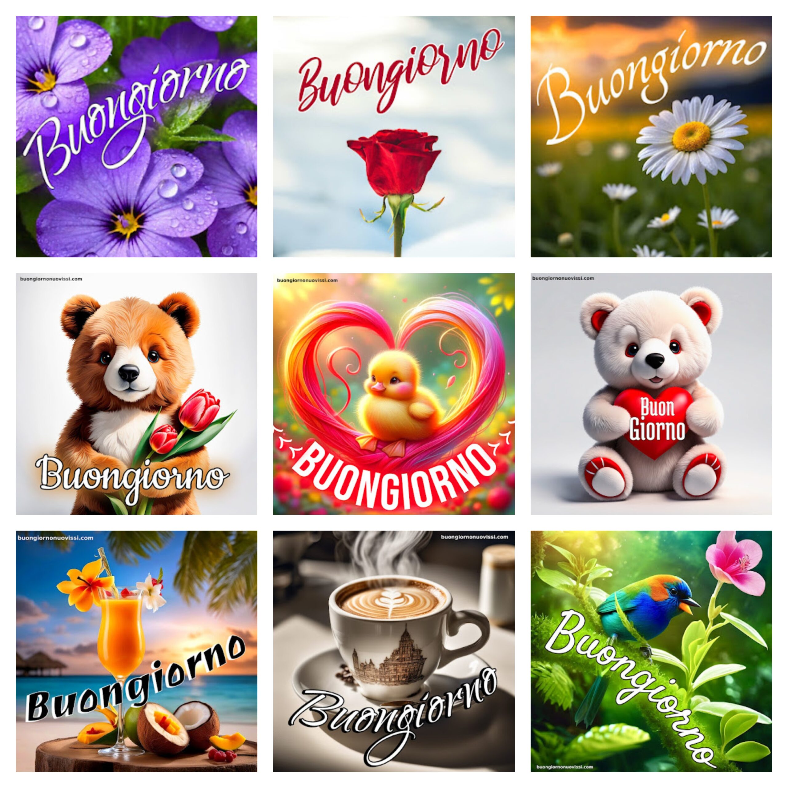 Mozzafiato Significativo Nuovissimo Buongiorno Immagini Recenti 1 Buongiorno Nuovissimi 2 1 scaled Mozzafiato Significativo Nuovissimo Buongiorno Immagini Recenti