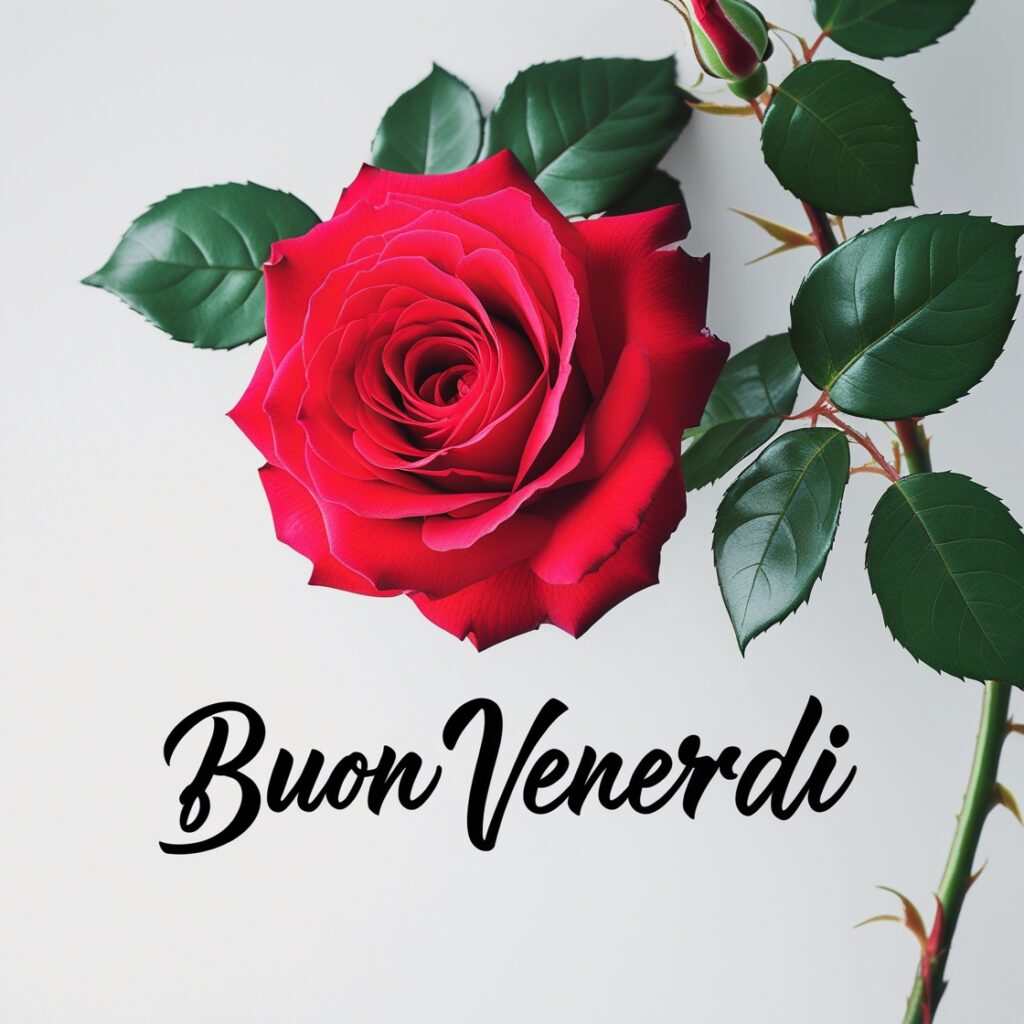 Immagini Di Buon Venerdi 16 Immagini Di Buon Venerdi