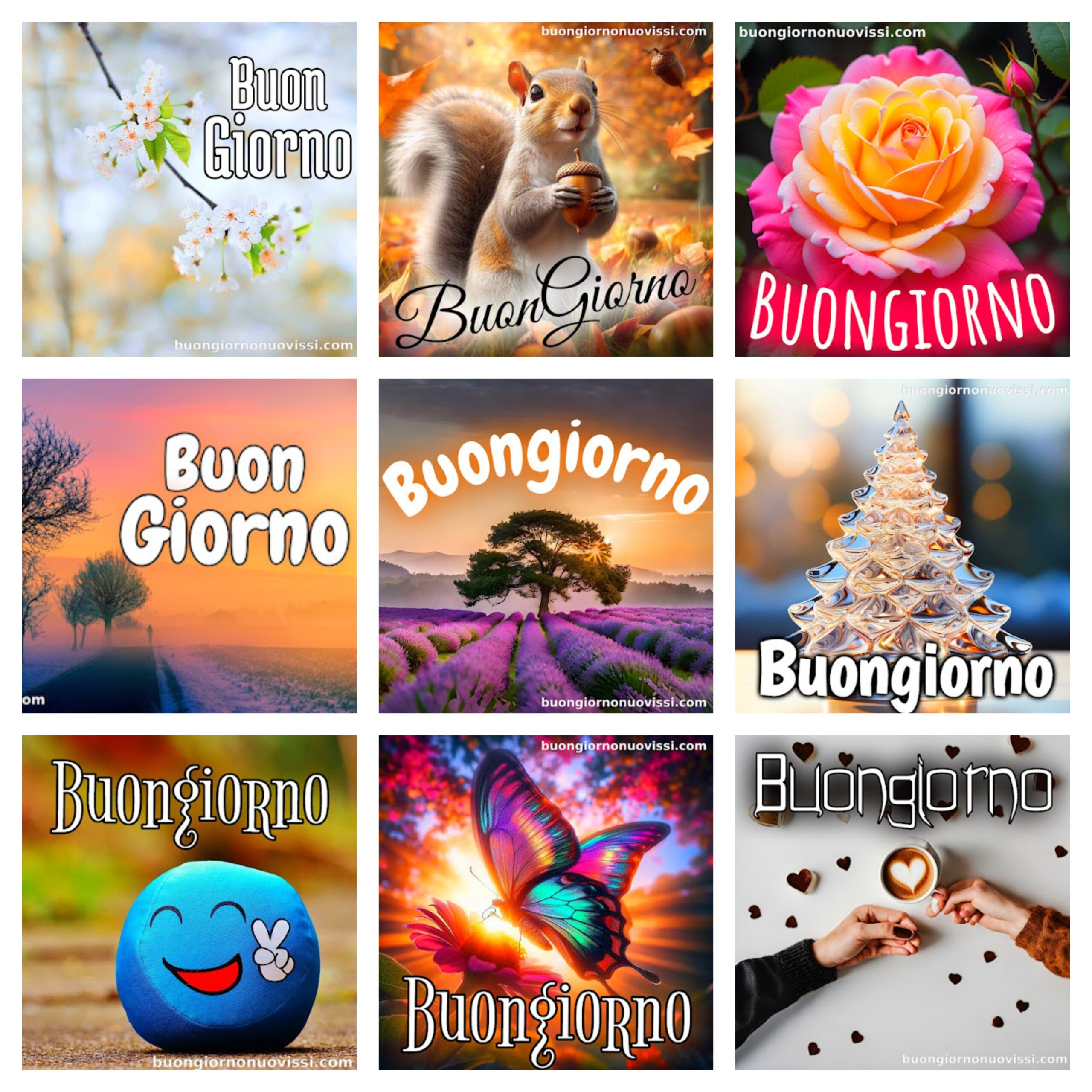 Pietra Rrosa Nuovissimo Buonanotte Immagini Recenti Gratis Per Whatsapp 2 scaled Stupende Nuovissimo Buongiorno Immagini Recenti