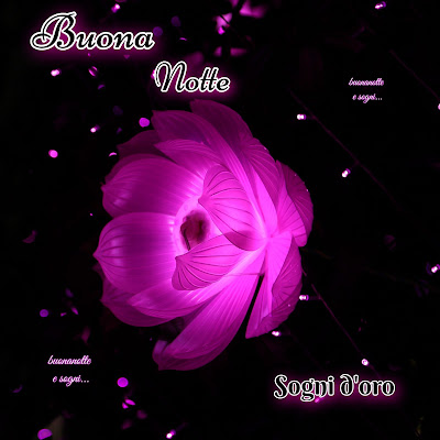 Immagini Di Buona Notte Nuove Bellissimo Per Whatsapp