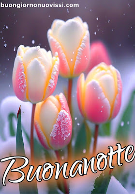 dolce buonanotte immagini recenti