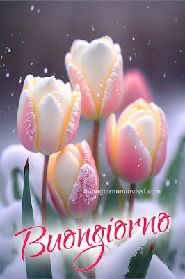 buongiorno invernale immagini nuove