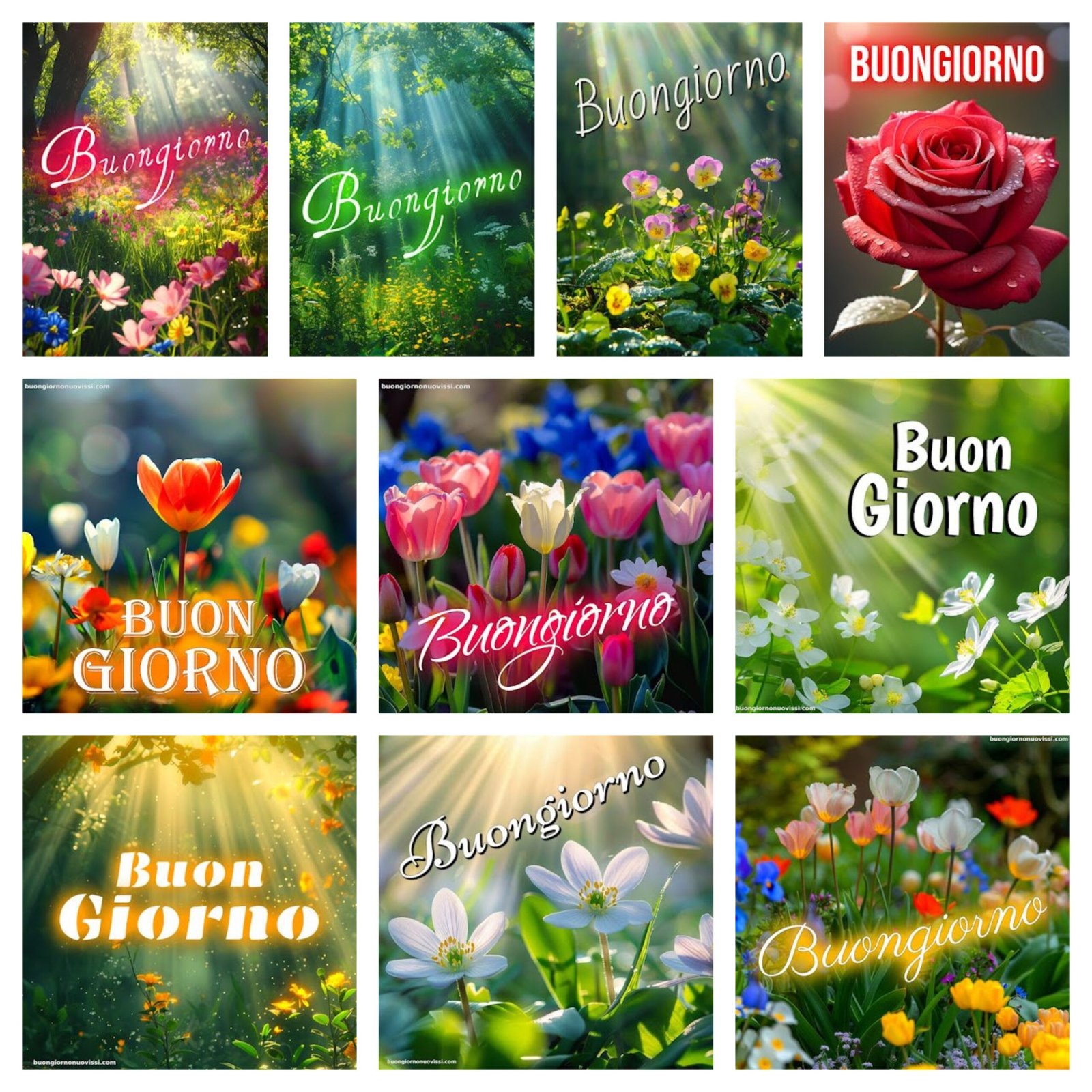 Whatsapp Buongiorno Divertenti 1 scaled Foto Buongiorno