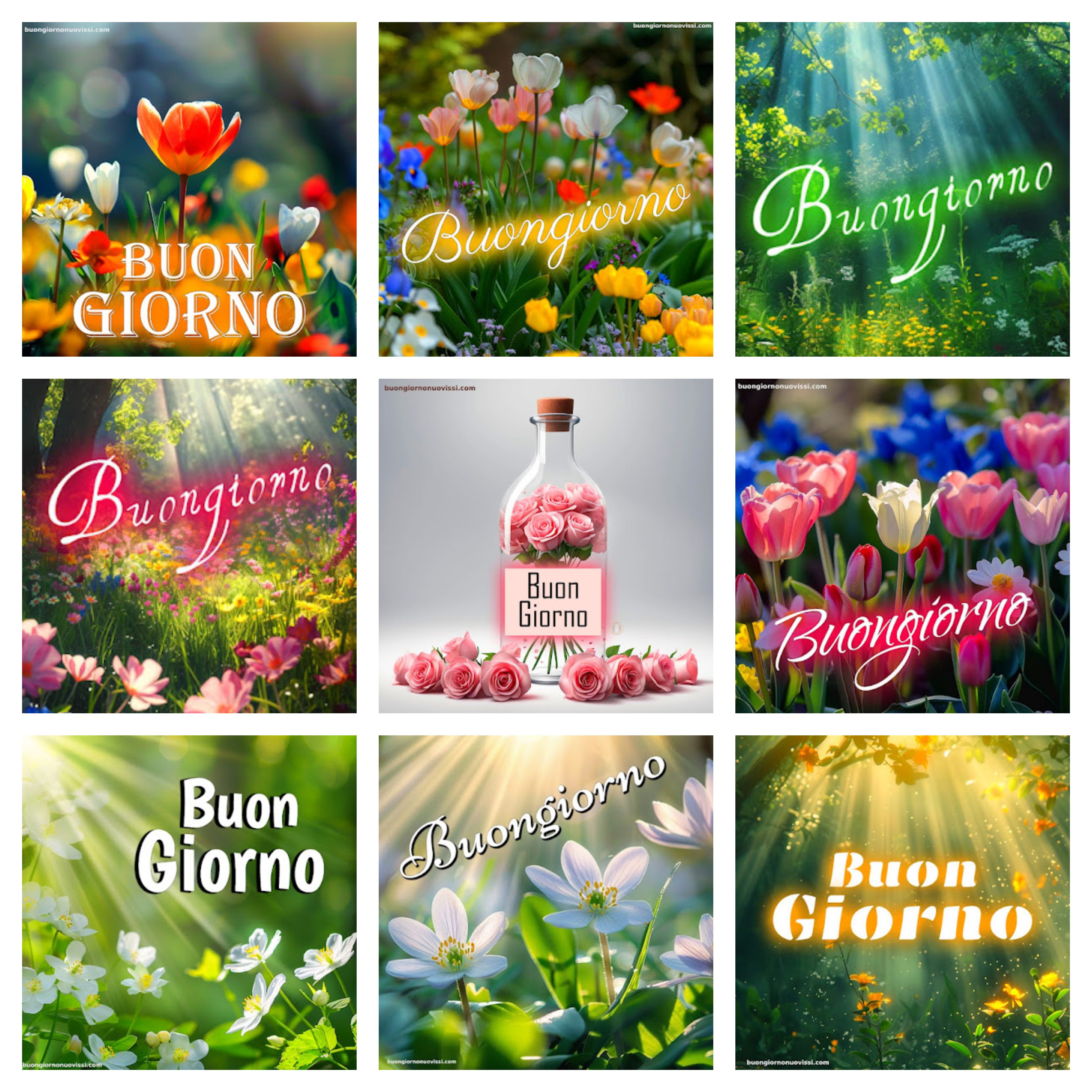 Whatsapp Buongiorno Divertenti