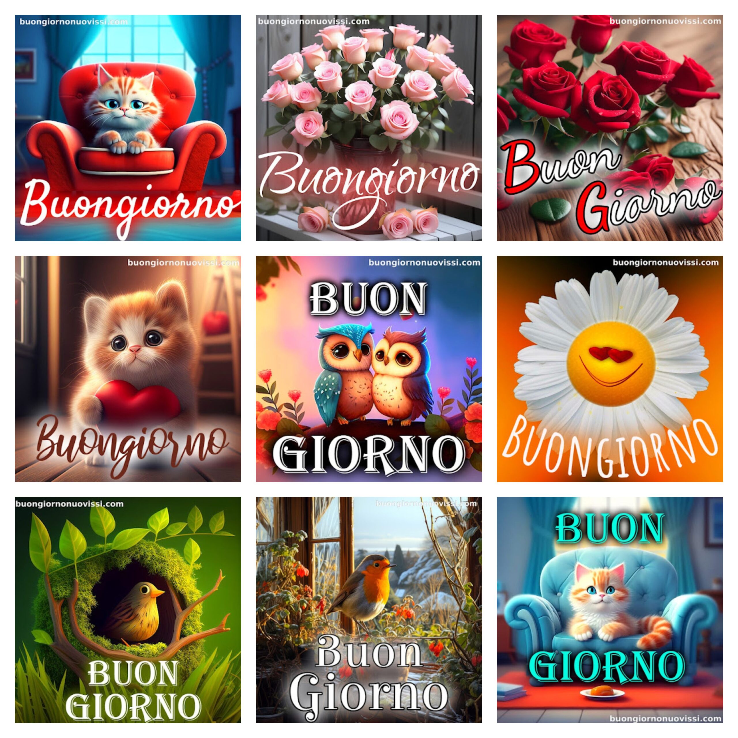 Nuovissimo Buongiorno [30+] Immagini Recenti