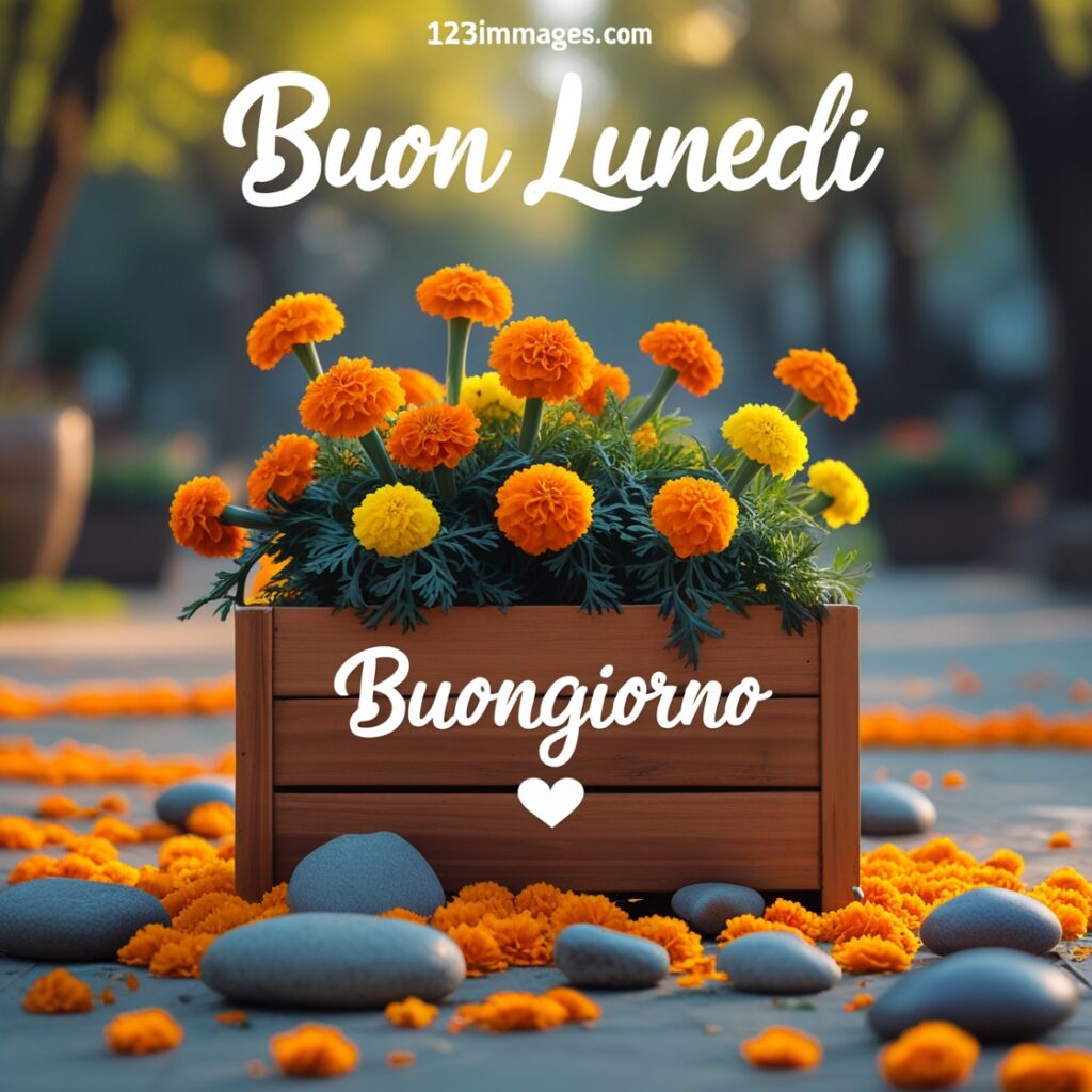 123 Immagini Buongiorno e Buon Lunedi 16 123 Immagini Buongiorno e Buon Lunedì