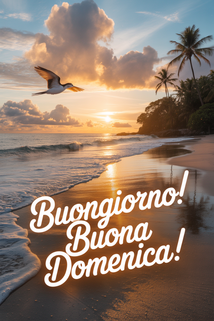Nuovissimo Buona Domenica Immagini Recenti 16 Nuovissimo Buona Domenica Immagini Recenti 17 Nuovissimo Buona Domenica Immagini Recenti