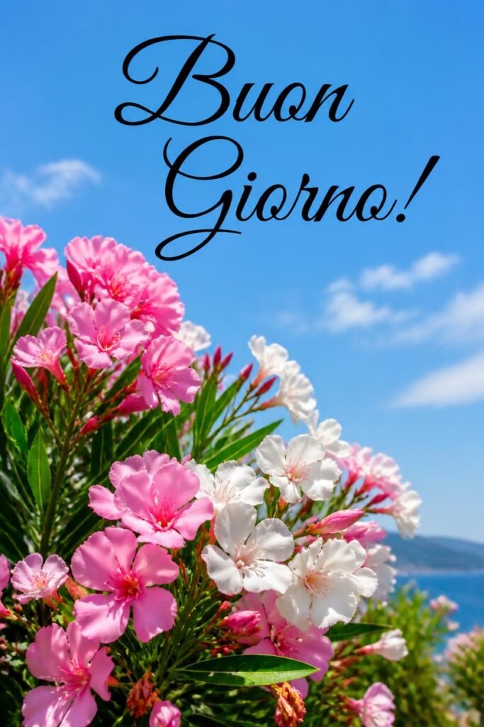 Immagini Nuove Buongiorno Nuovissimi 16 Immagini Nuove Buongiorno Nuovissimi