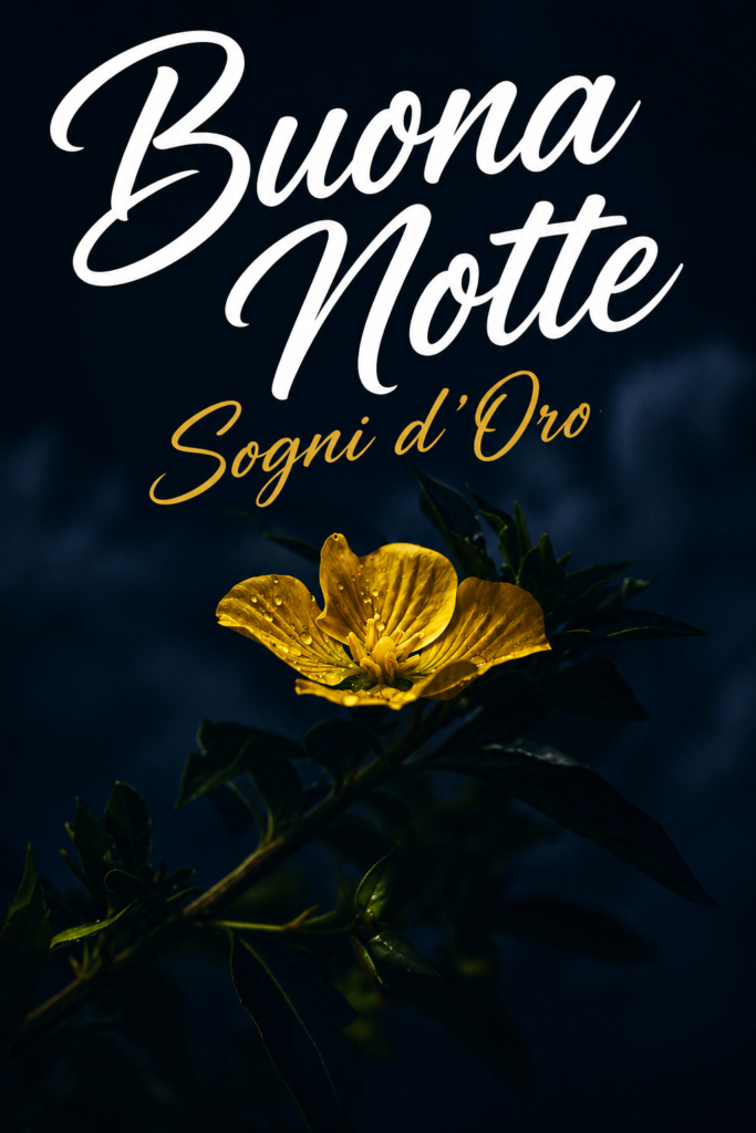 Nuovissimo Buonanotte Immagini Recenti Gratis Per Whatsapp 1 Nuovissimo Buonanotte Immagini Recenti Gratis Per Whatsapp